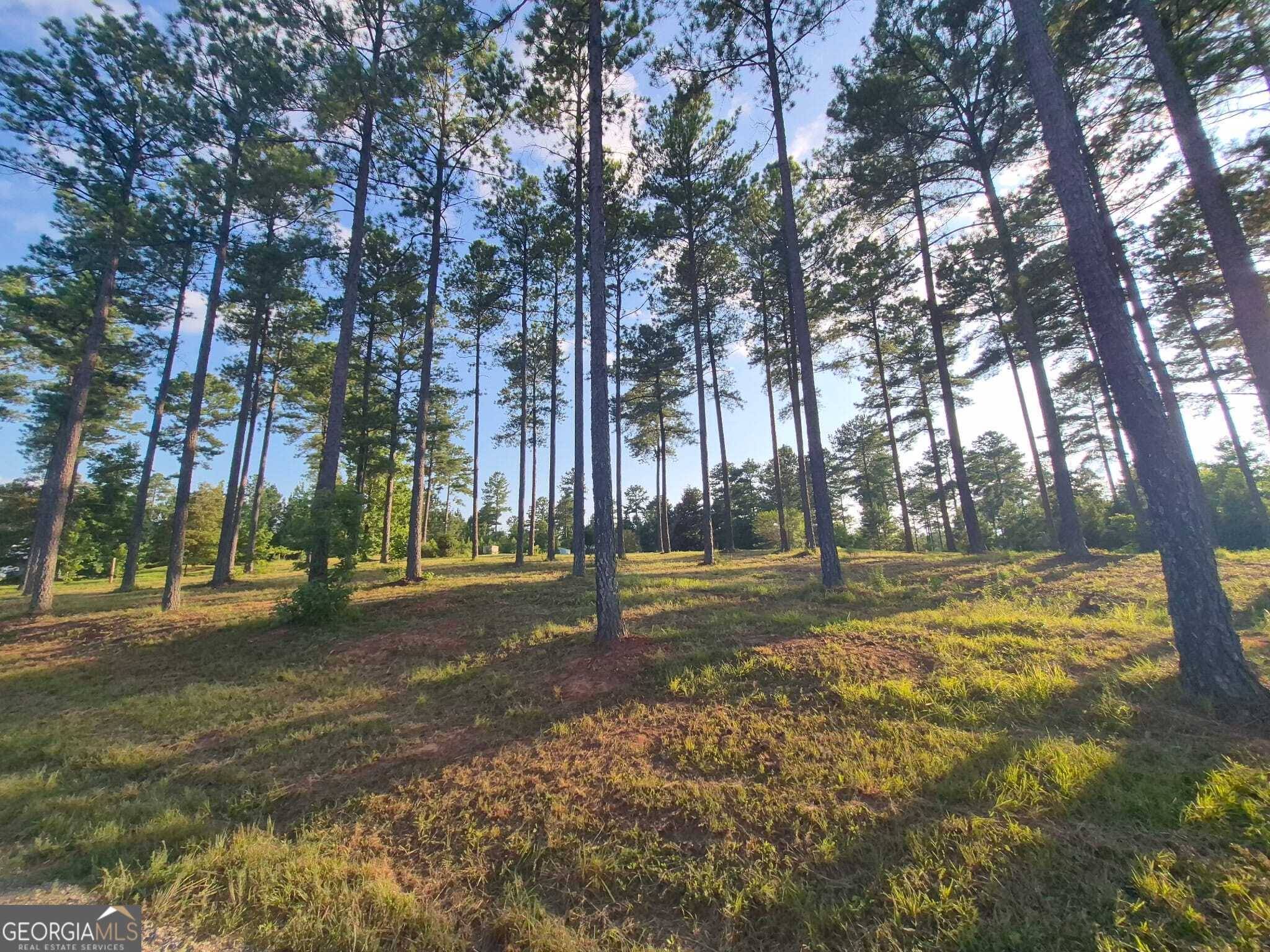 Hillsboro, GA 31038,366 Firetower RD