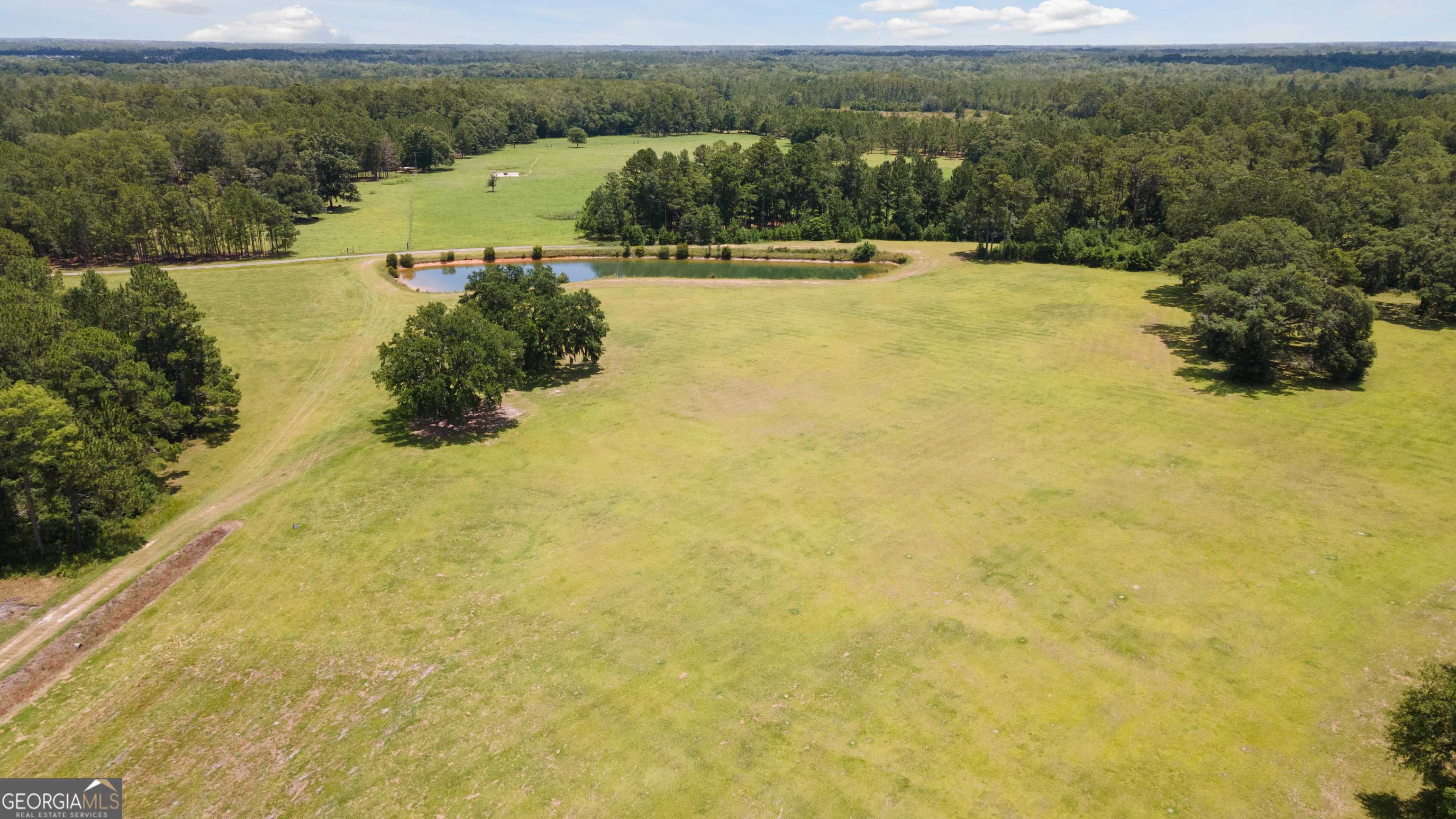 Hinesville, GA 31313,35+ ACRES Wells RD