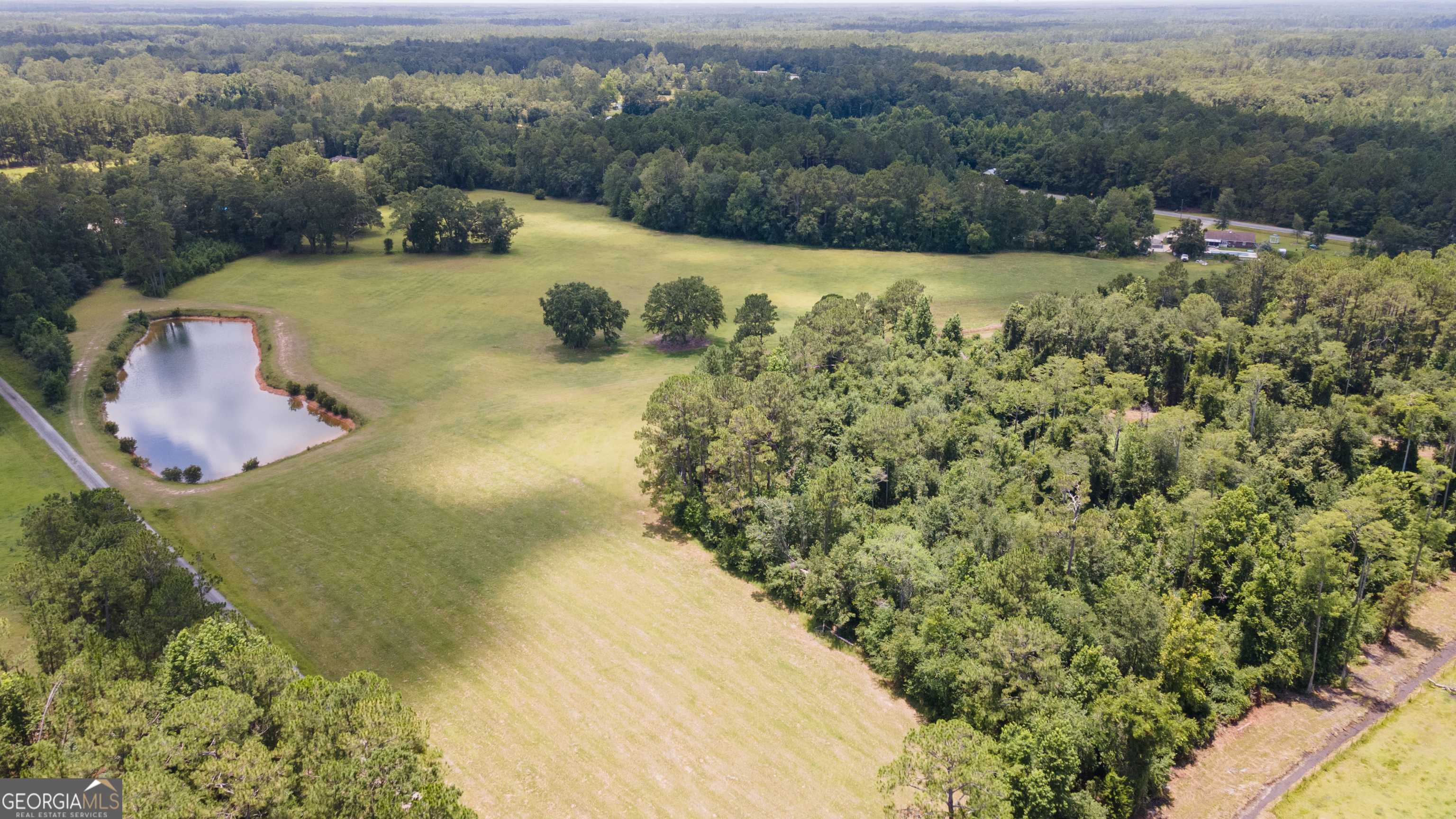 Hinesville, GA 31313,35+ ACRES Wells RD