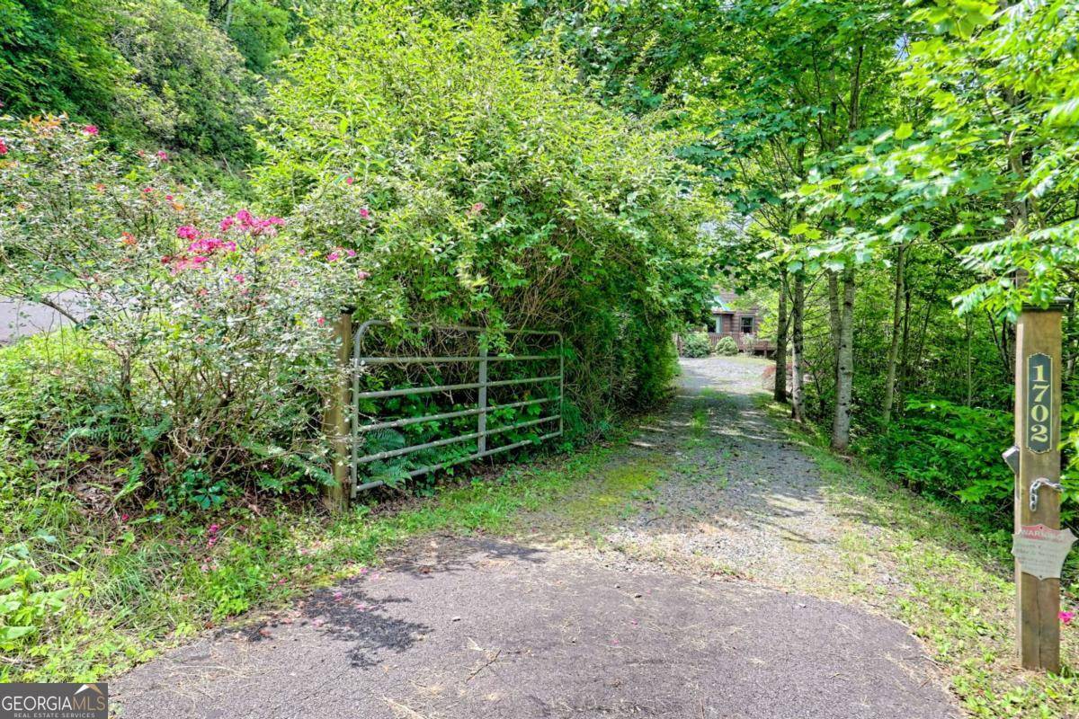 Hiawassee, GA 30546,1702 Sheep Cliff RD