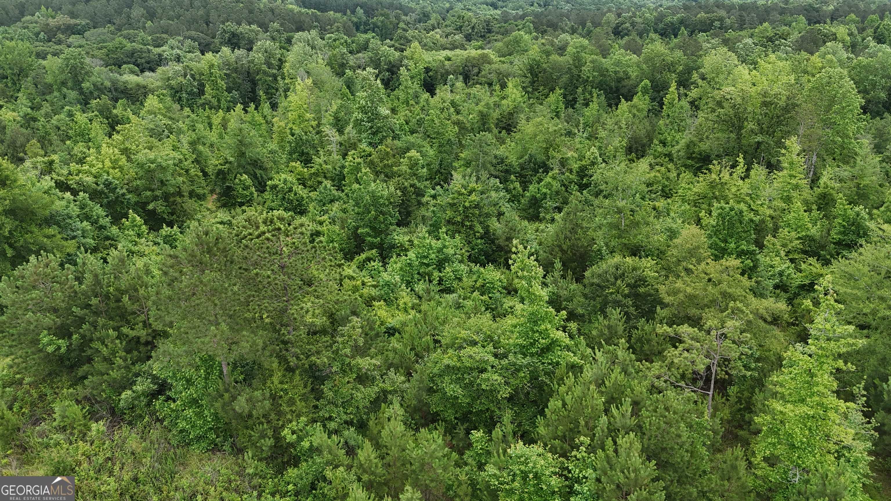 Elberton, GA 30635,6 Emmaus DR
