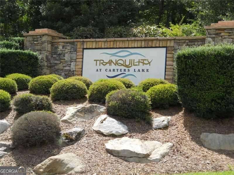 Ellijay, GA 30540,LOT145 Foxglove TRL