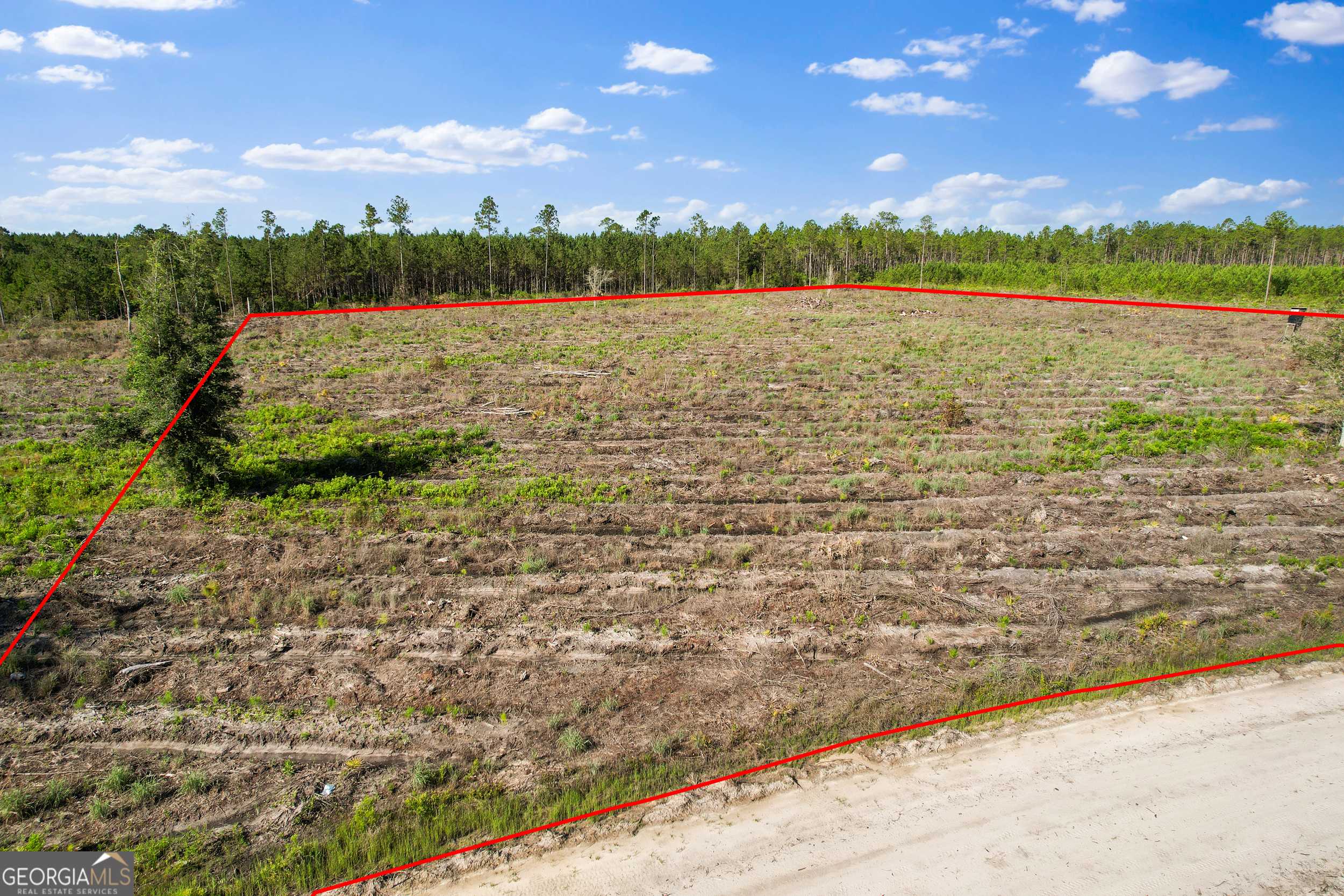 Odum, GA 31555,TRACT 4 Morris Break RD