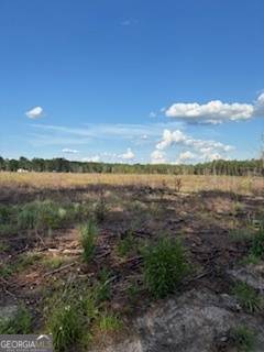 Claxton, GA 30417,20 AC Bay Branch Church RD
