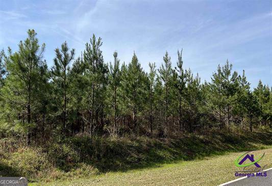 Elko, GA 31025,LOT 1 Whitfield RD