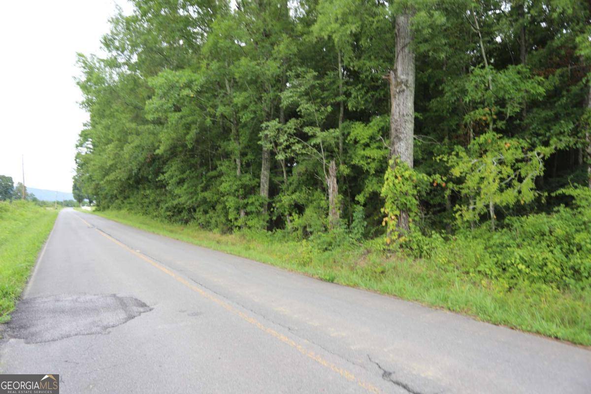 Menlo, GA 30731,0 Sunnydale RD