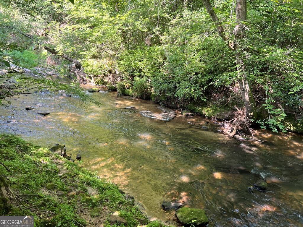 Blairsville, GA 30512,LOT 8 Old Birch Bend Court