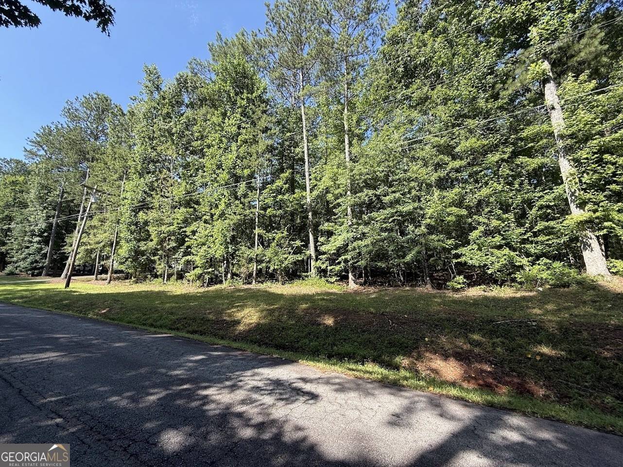 Villa Rica, GA 30180,3145 Brookway DR