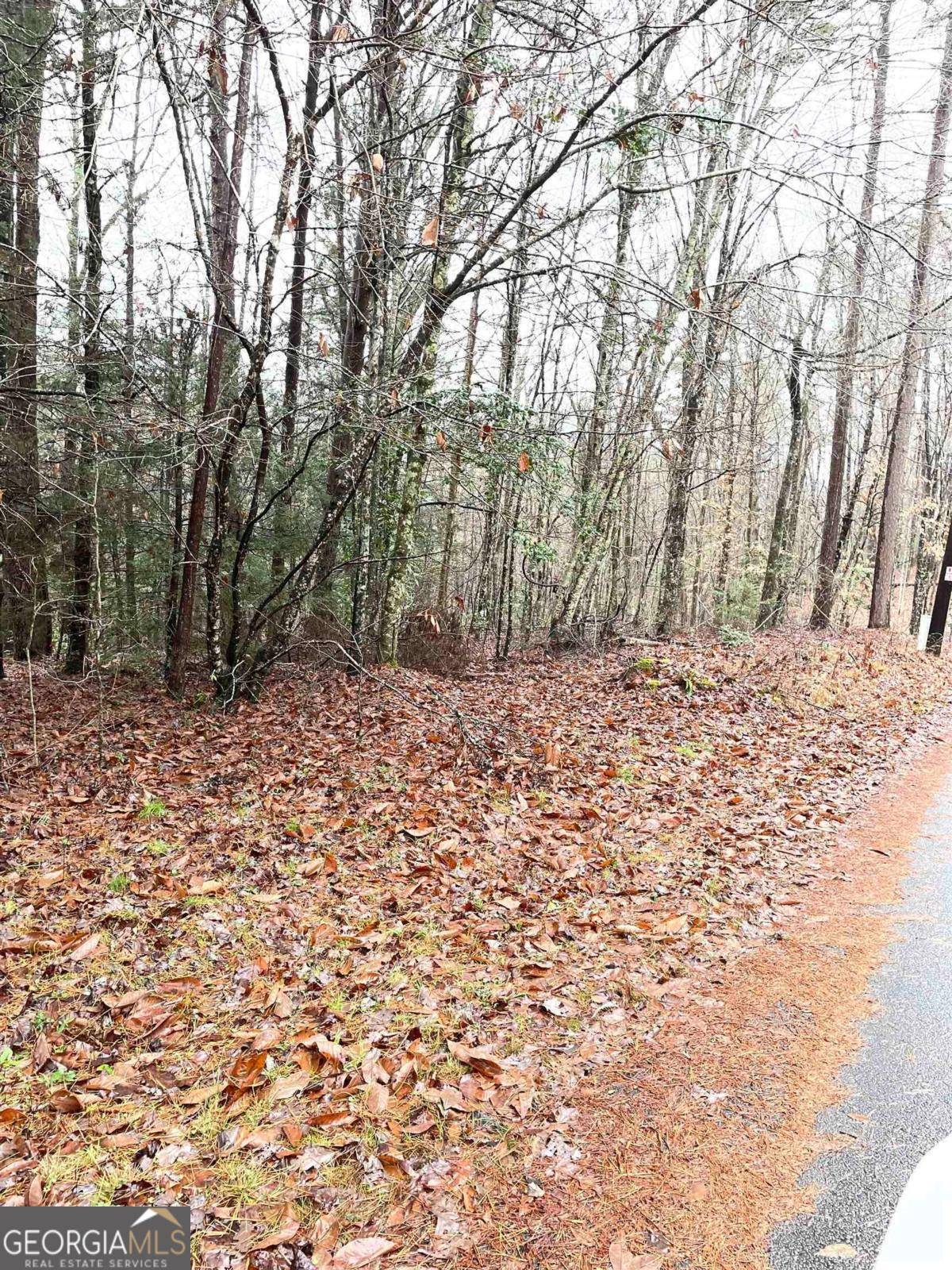 Tiger, GA 30576,0 River Birch LN #LOT 32