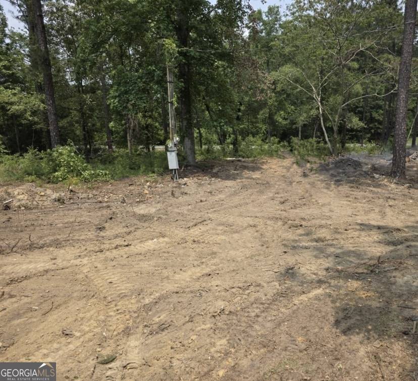 Cadwell, GA 31009,2940 Iris Lowery Loop