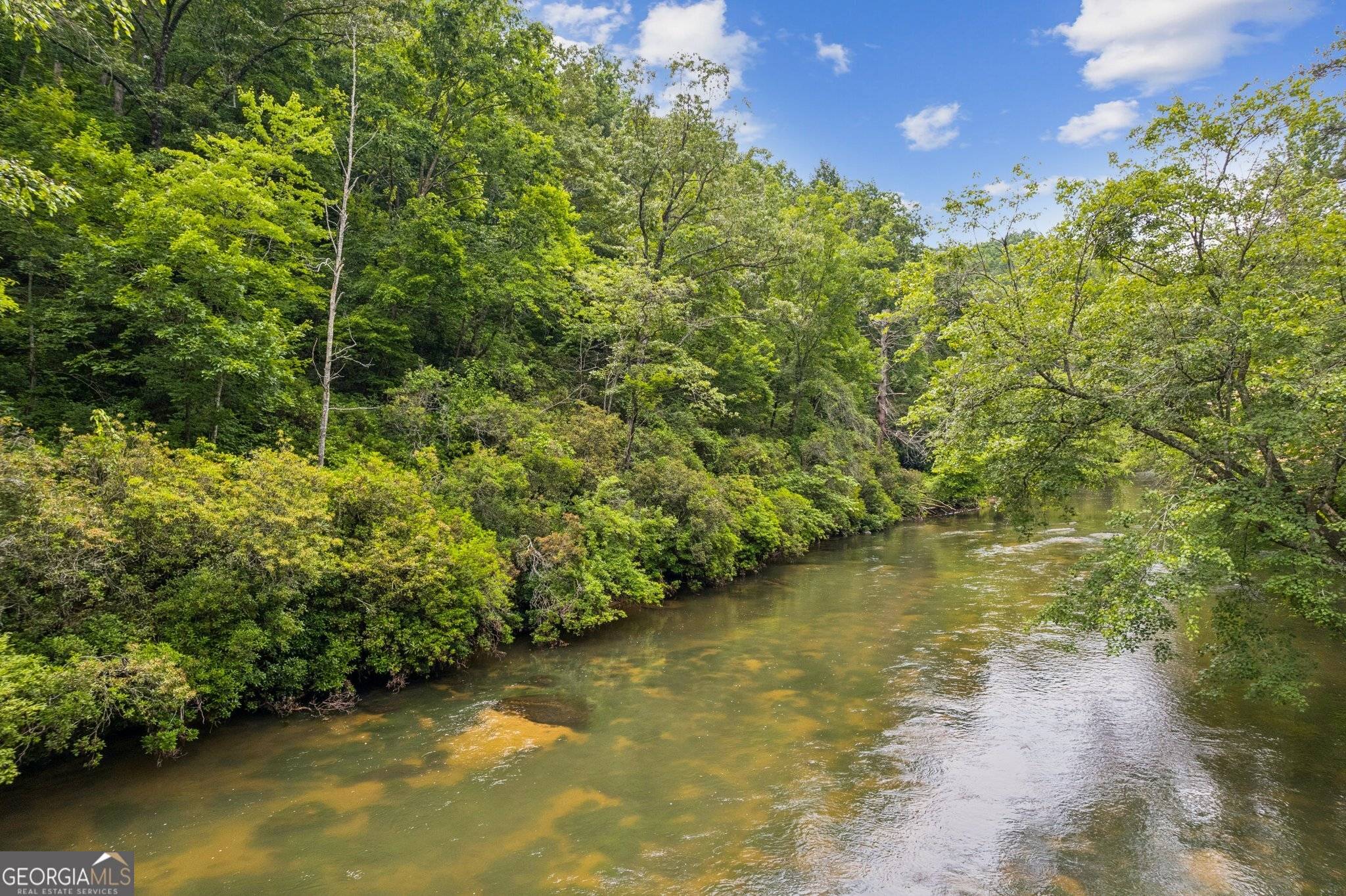 Ellijay, GA 30536,LOT 5 Riverfront DR