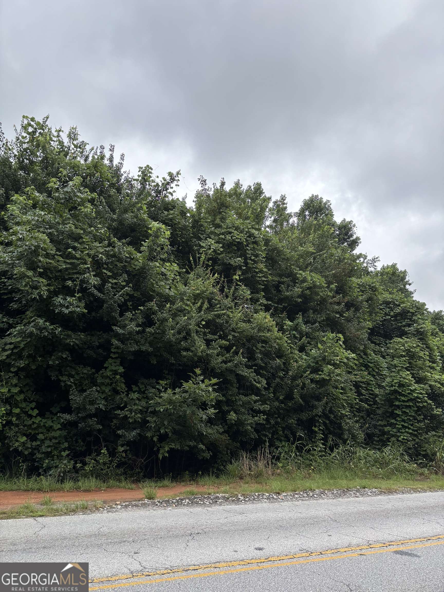 Lithonia, GA 30058,6314 Hillandale DR