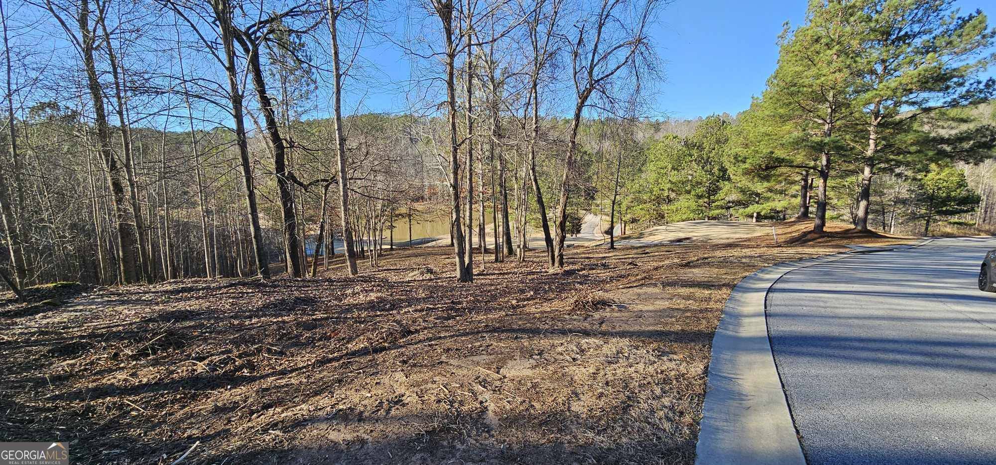 Toccoa, GA 30577,42 Lookout PT