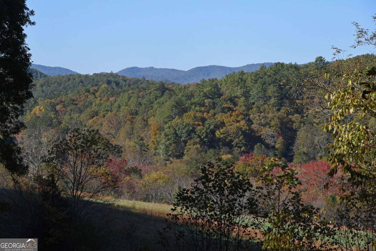 Suches, GA 30572,160 Mountain Field DR