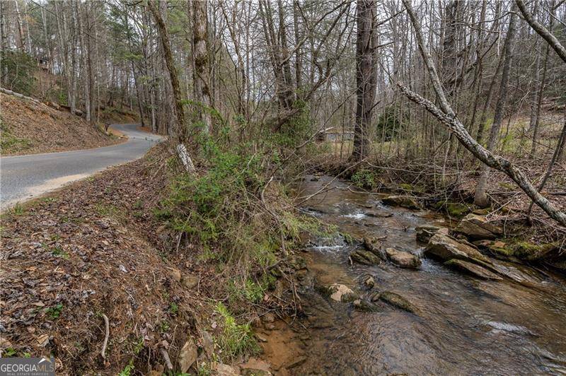 Ellijay, GA 30540,3185 Old Flat Branch RD