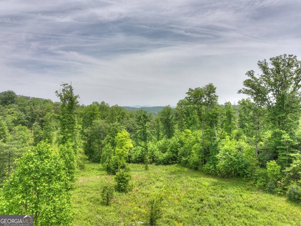 Blue Ridge, GA 30513,LOT 13 Haven WAY