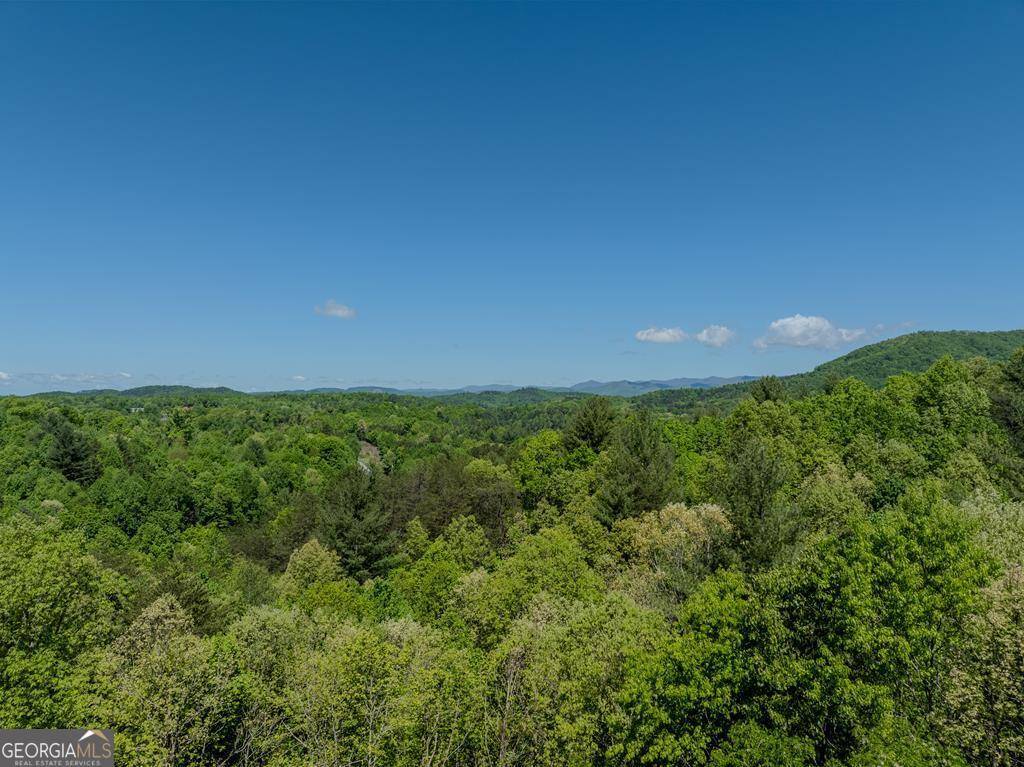 Brasstown, NC 28902,156 Trillium Heights Trace