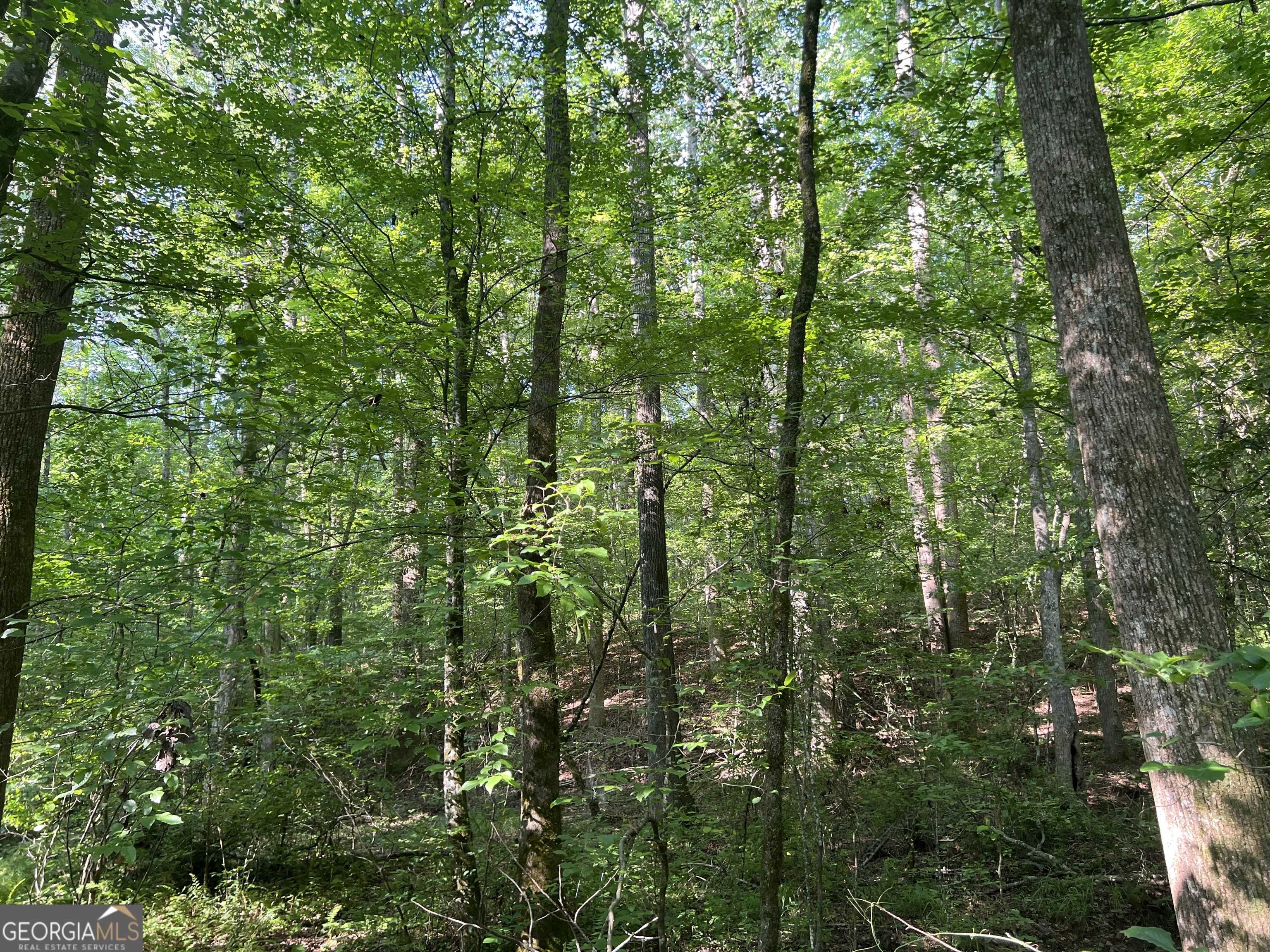Temple, GA 30179,0 Mac Garner RD