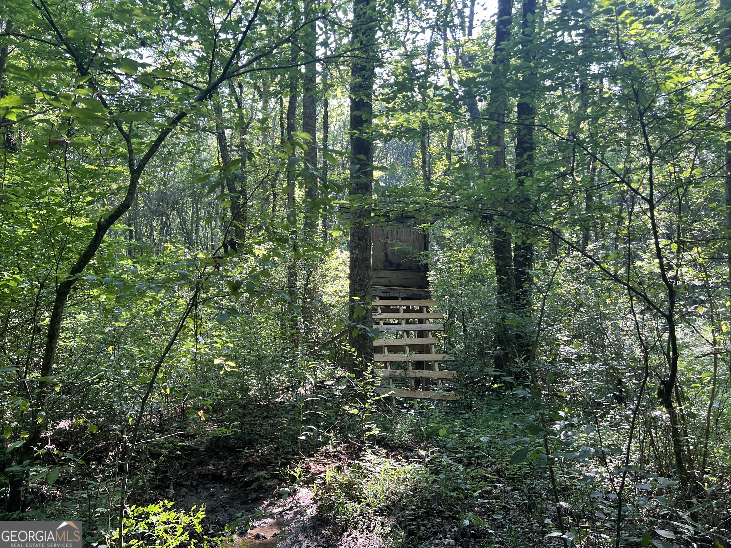 Temple, GA 30179,0 Mac Garner RD
