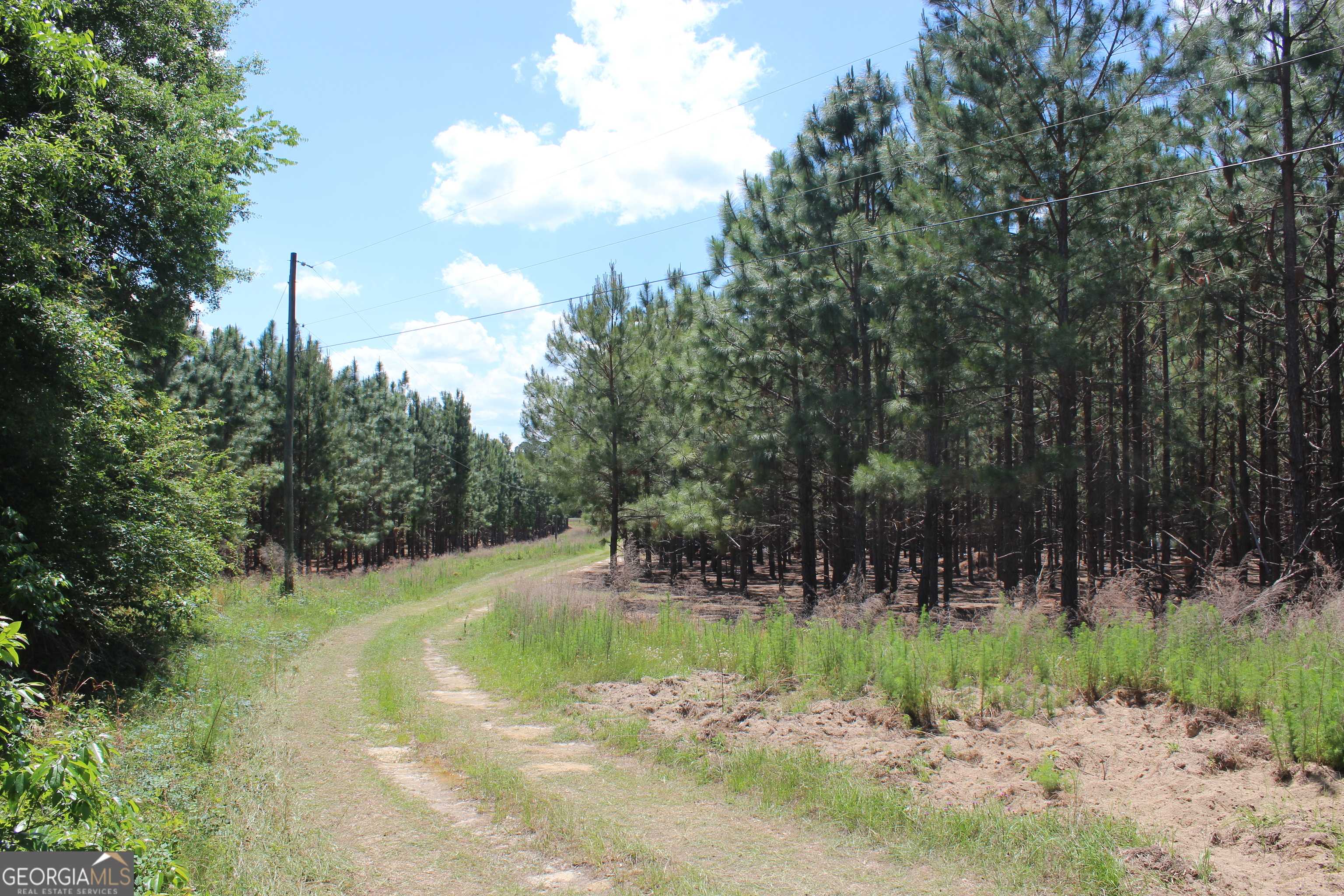 Milan, GA 31077,0 West River Road