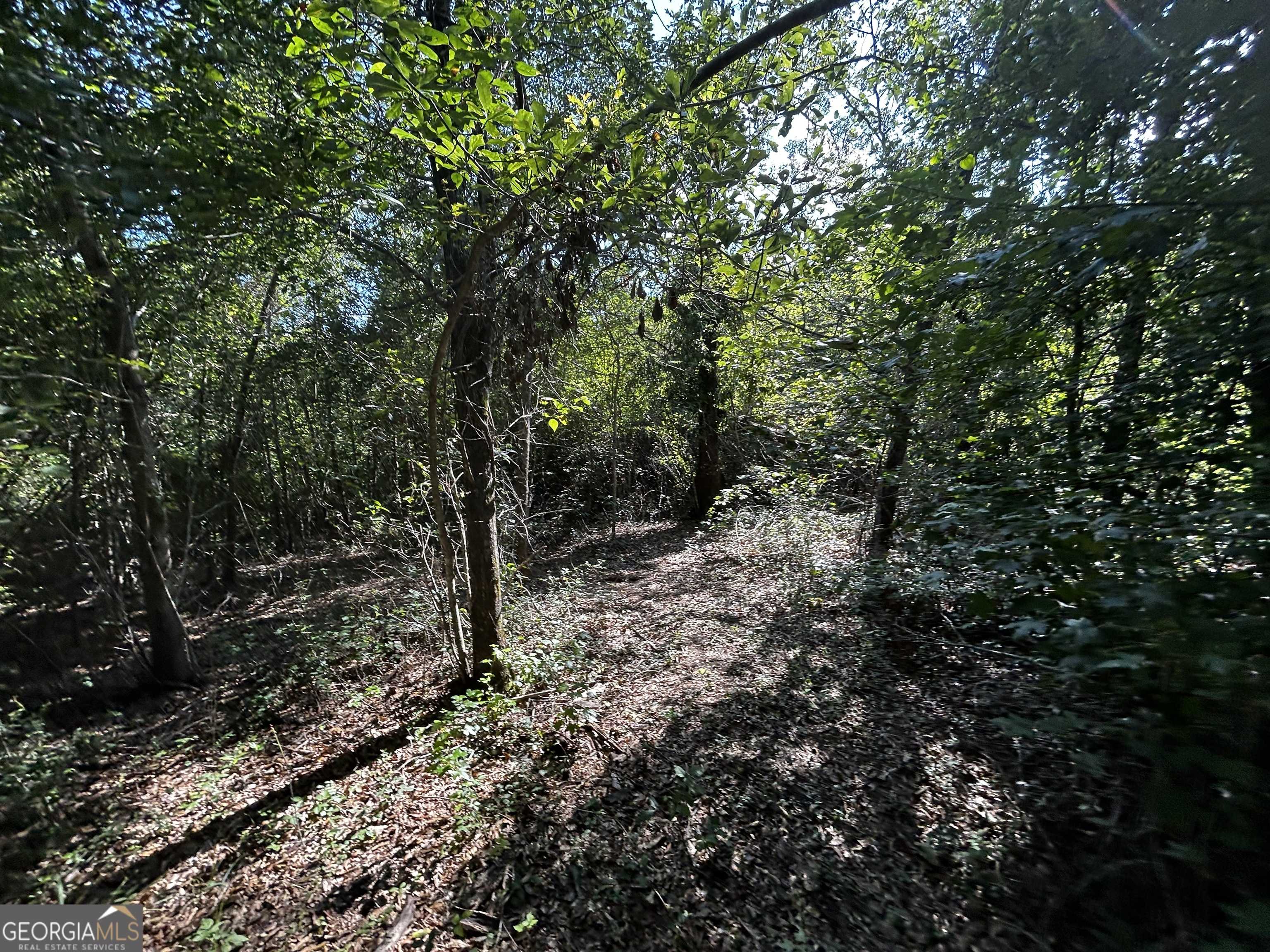 East Dublin, GA 31027,1787 Buddy Johnson RD