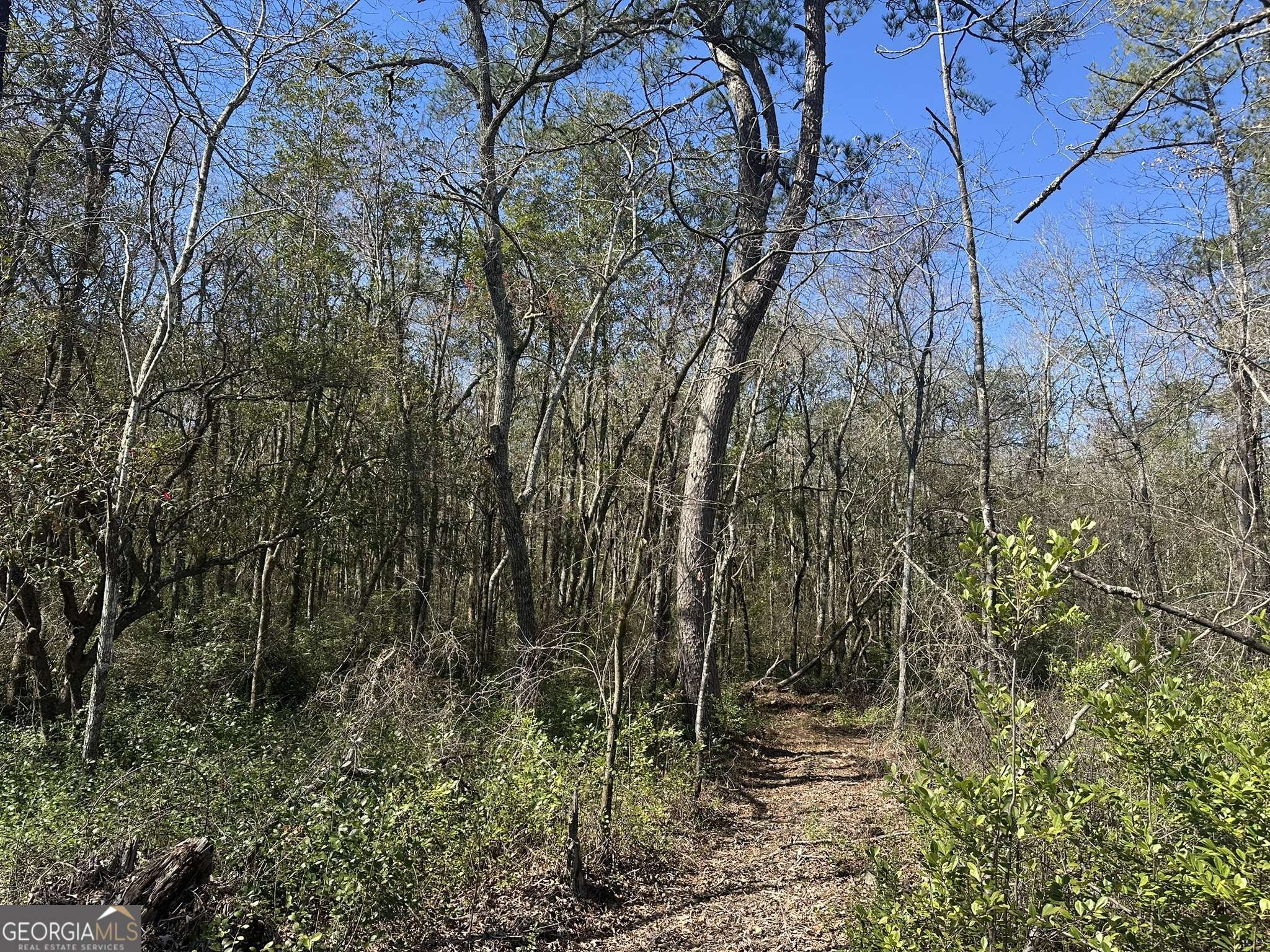 Butler, GA 31006,095 Mt Sinai Church Rd