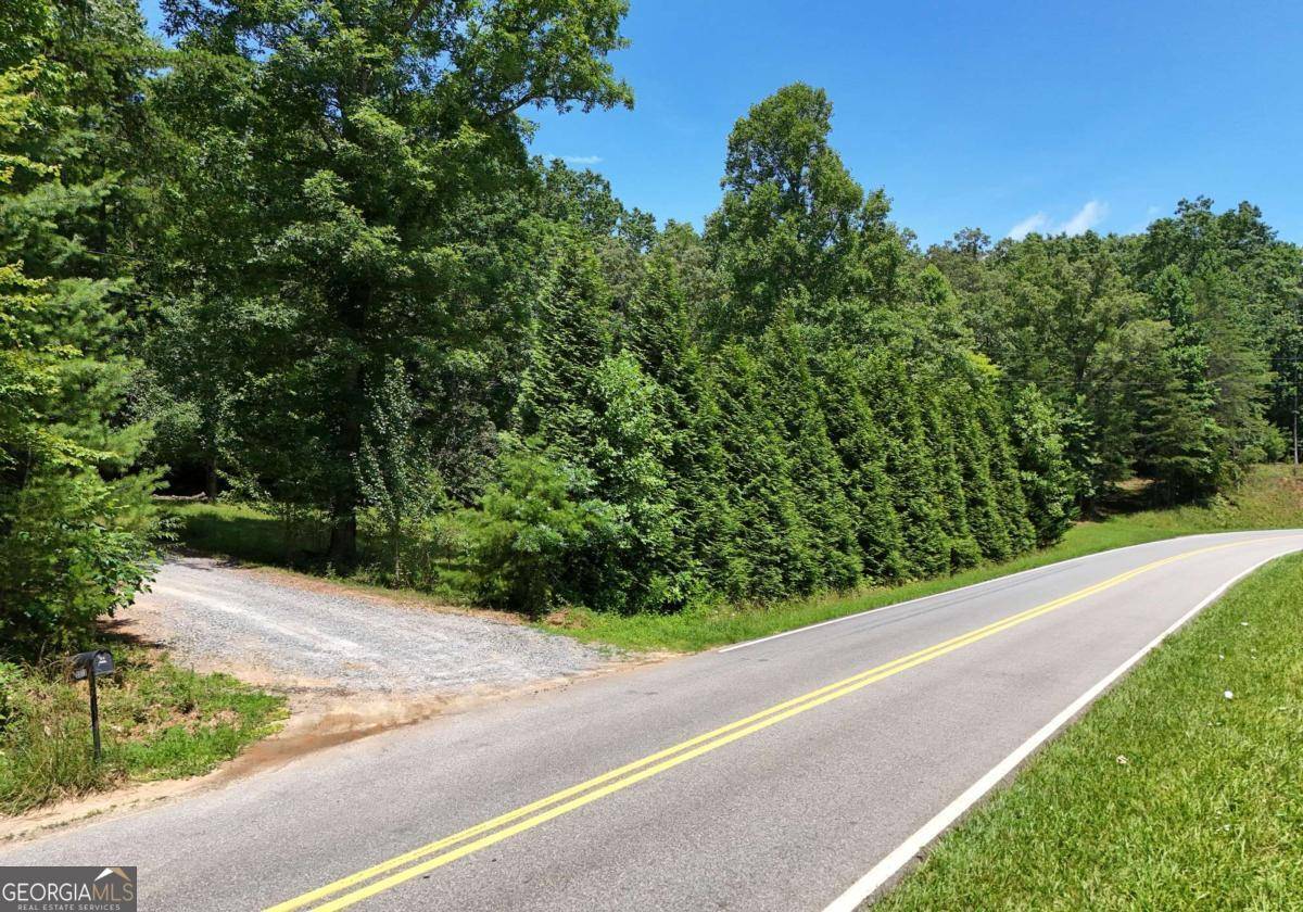 Mineral Bluff, GA 30559,3373 Hardscrabble RD