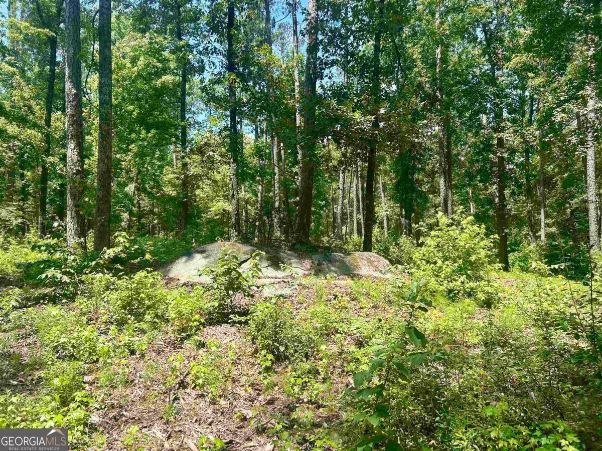 White Plains, GA 30678,1020 Stoneridge CIR