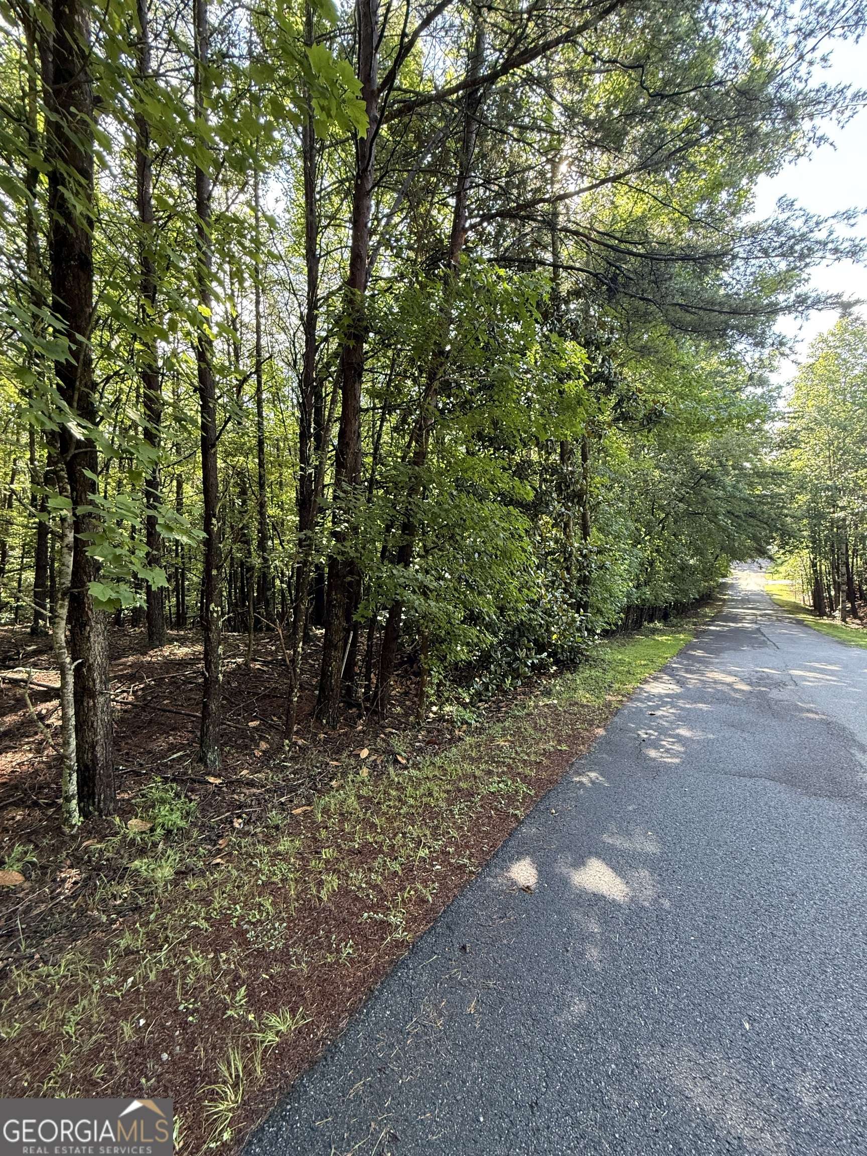 Sautee Nacoochee, GA 30571,LOT 4 Marci LN