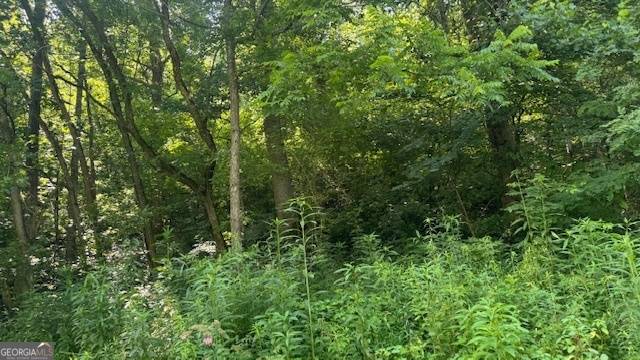 Hiawassee, GA 30546,#3 Eagle Cove