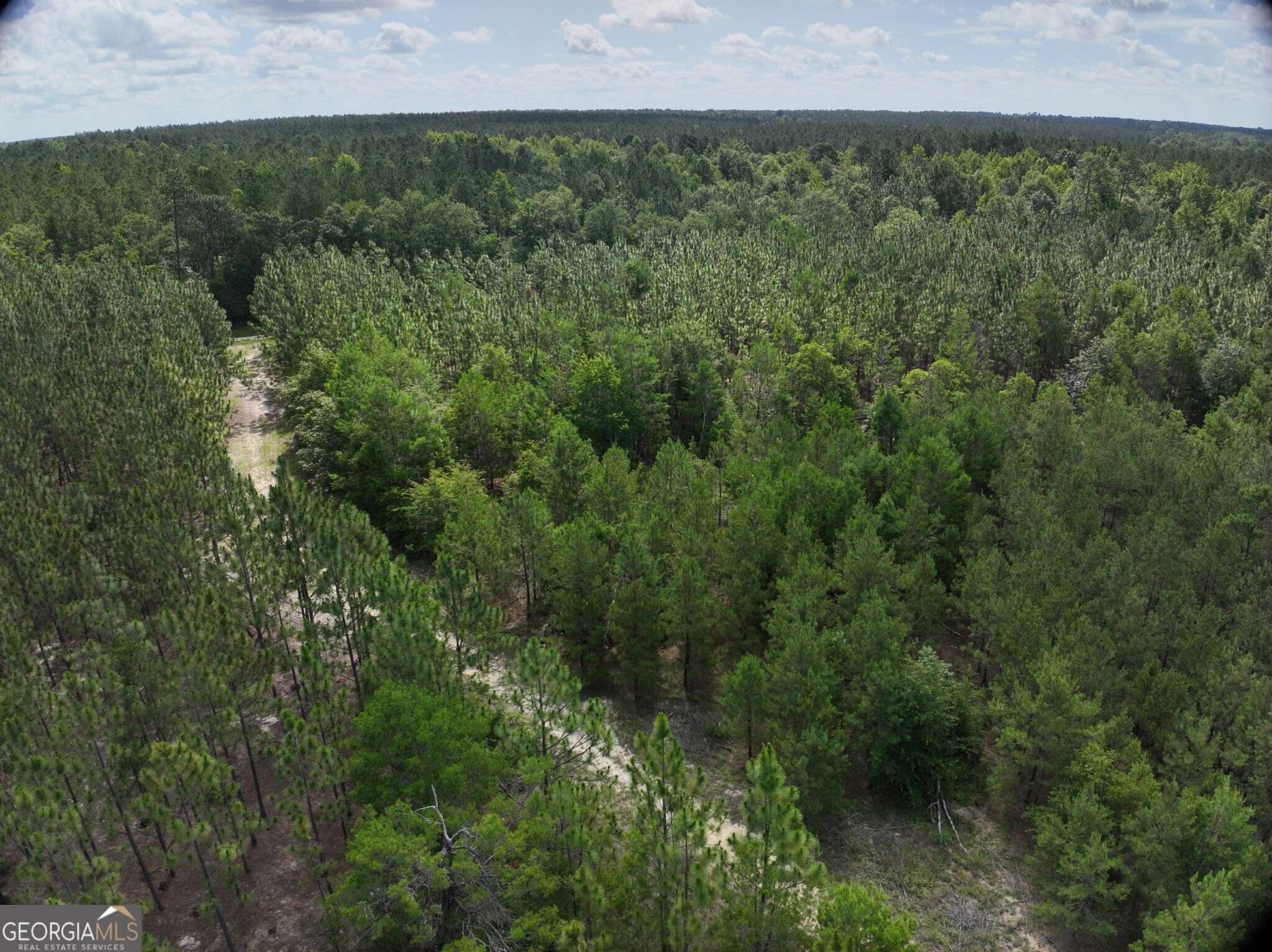 Midville, GA 30441,0 Drew Bennett RD