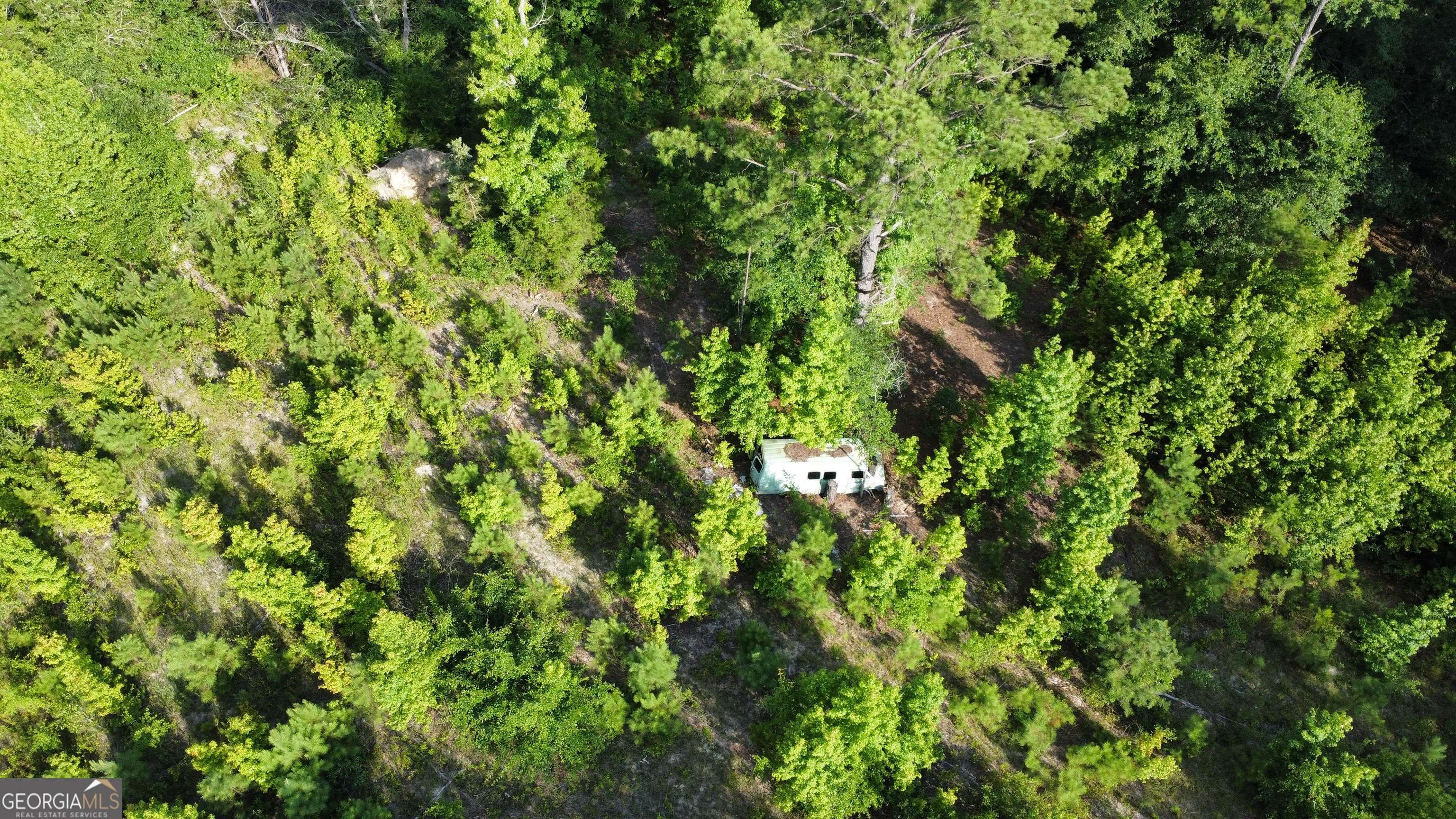 Box Springs, GA 31801,700 GUN CLUB ROAD
