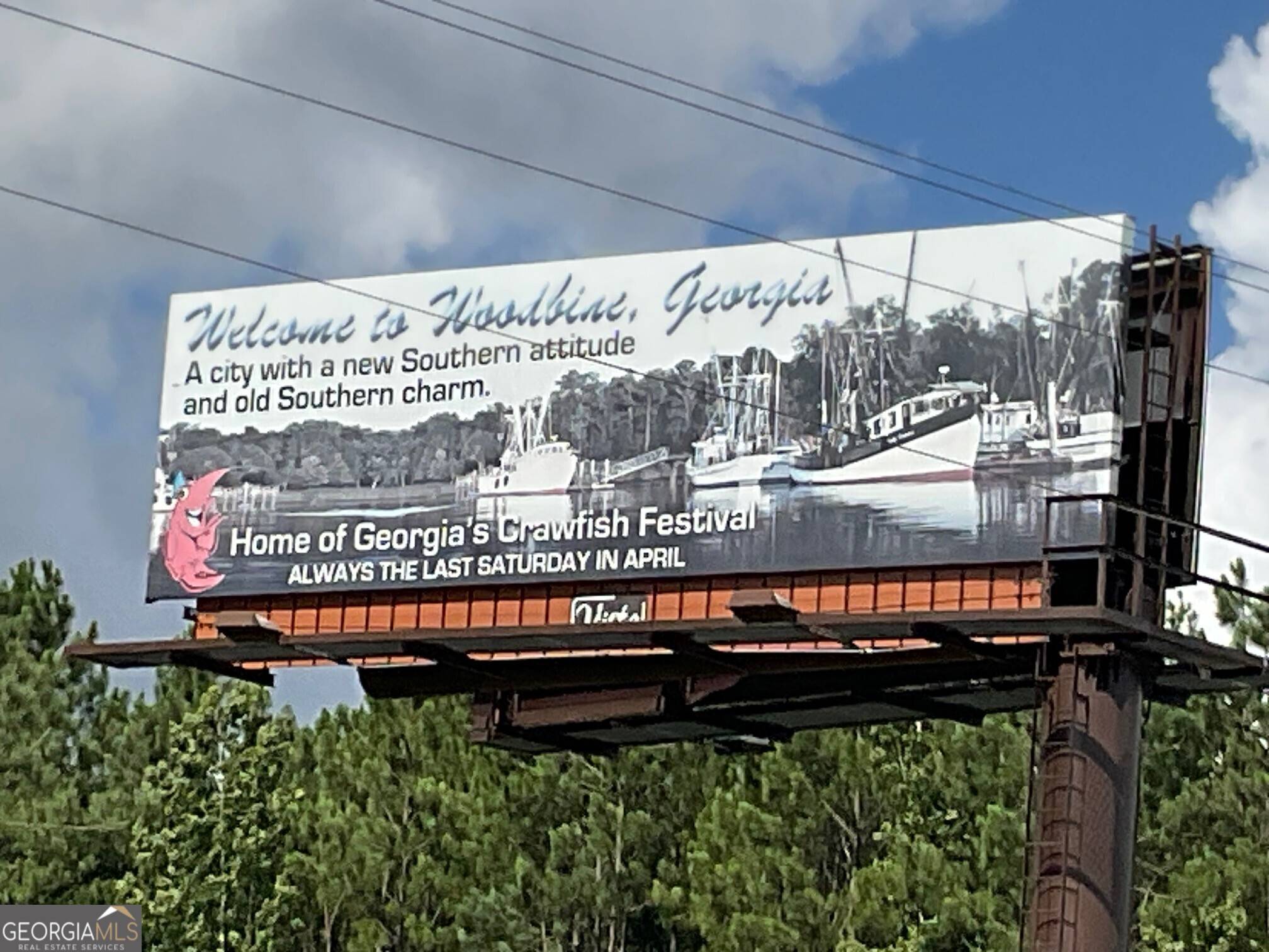 Woodbine, GA 31569,705 Bedell AVE