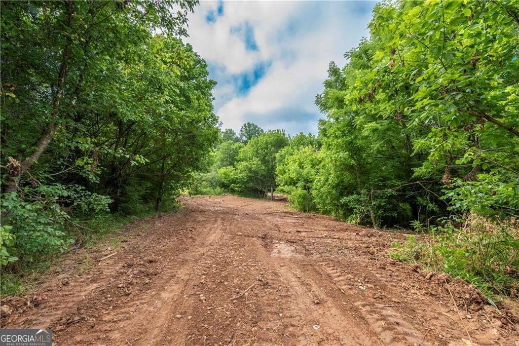 Jasper, GA 30143,TRT C Roland RD
