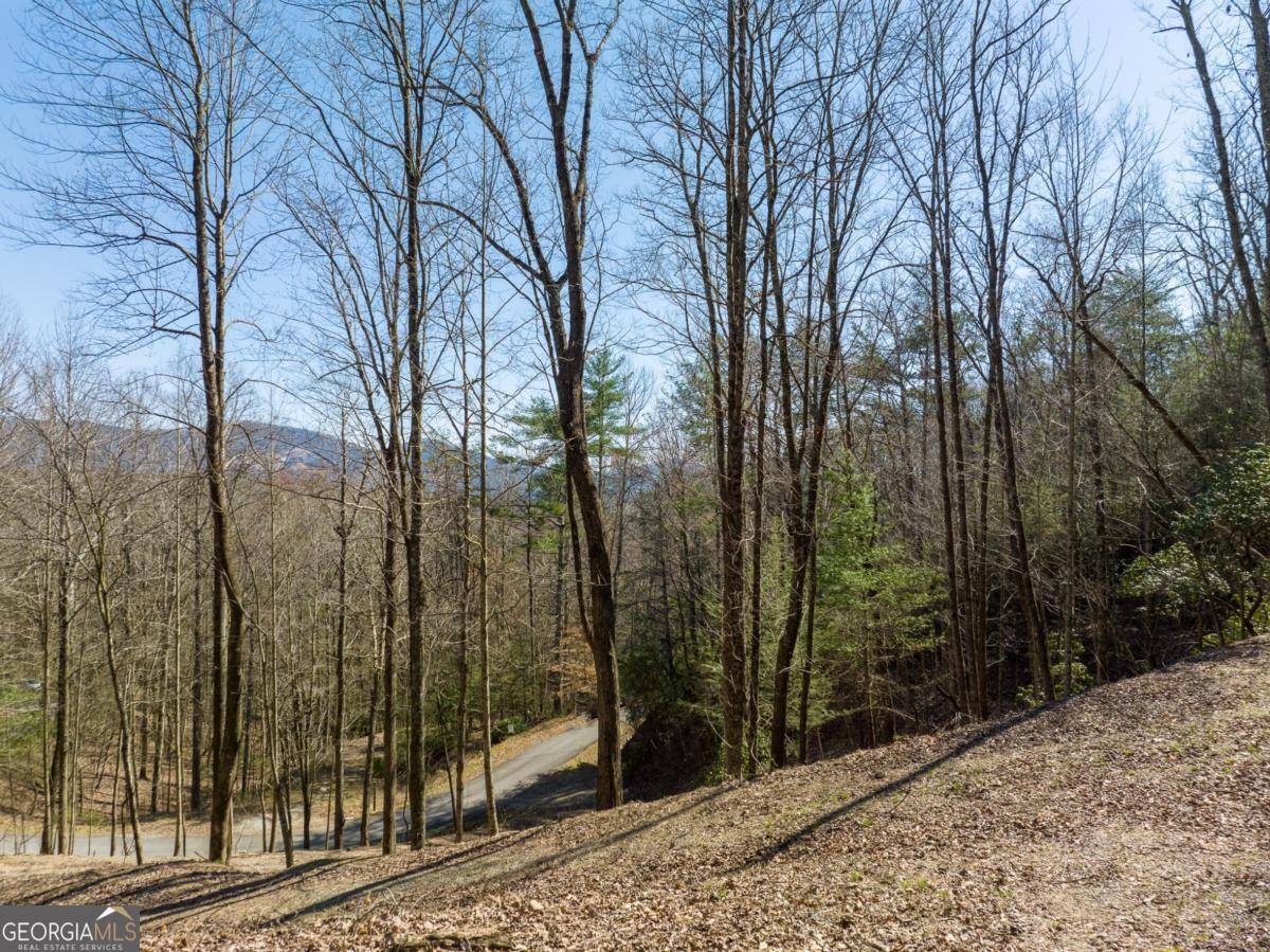 Ellijay, GA 30540,LOT 508 Chicasaw DR