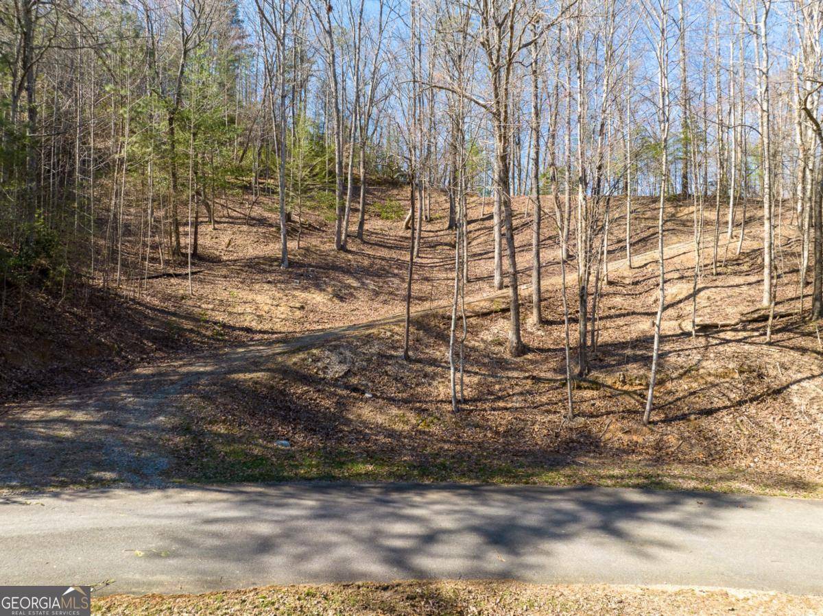 Ellijay, GA 30540,LOT 508 Chicasaw DR