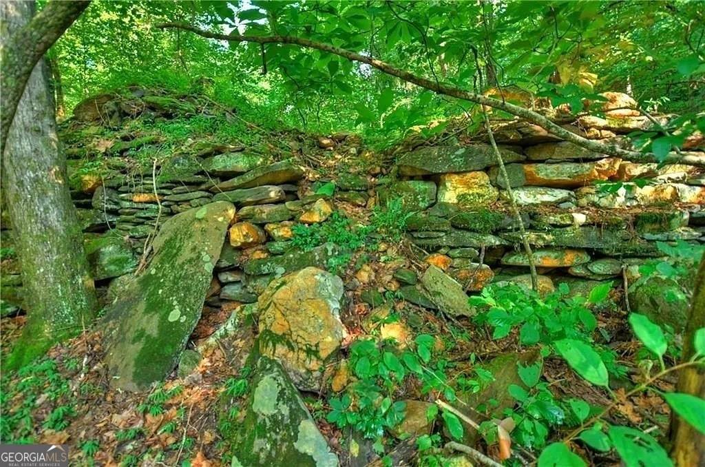 Blue Ridge, GA 30513,0 Lower Toccoa Hills RD