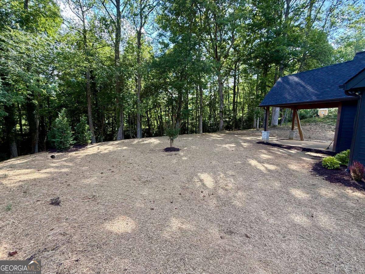 Hiawassee, GA 30546,919 Bauer RD