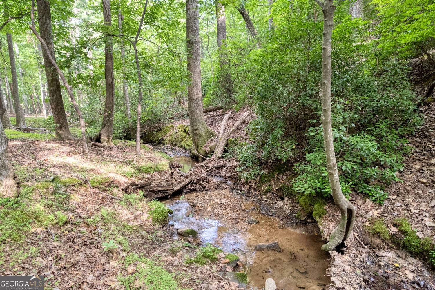 Big Canoe, GA 30143,90 Cardinal CV