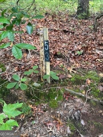 Ellijay, GA 30536,10.96 AC Paramount Trail