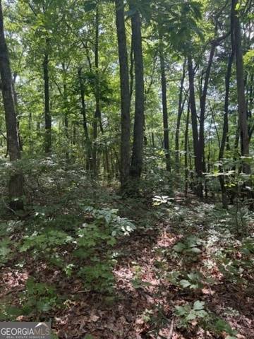 Ellijay, GA 30536,10.96 AC Paramount TRL