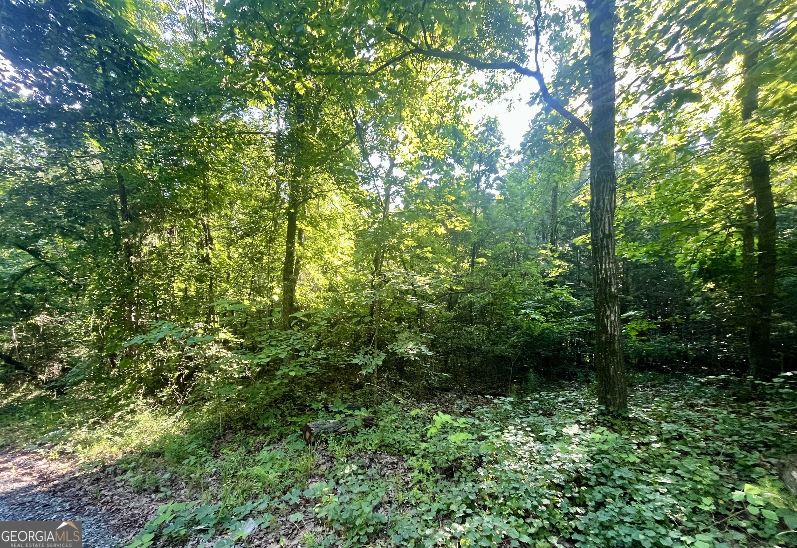 Monticello, GA 31064,0 Meadowlark DR #LOT 8