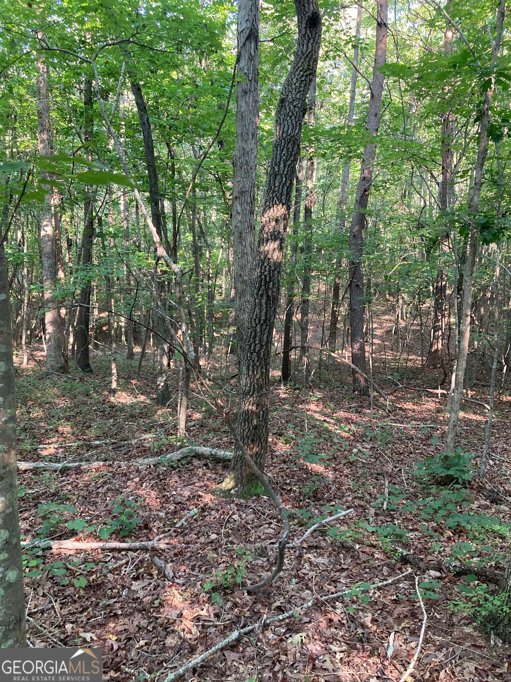 Alto, GA 30510,0 Grant Mill Road