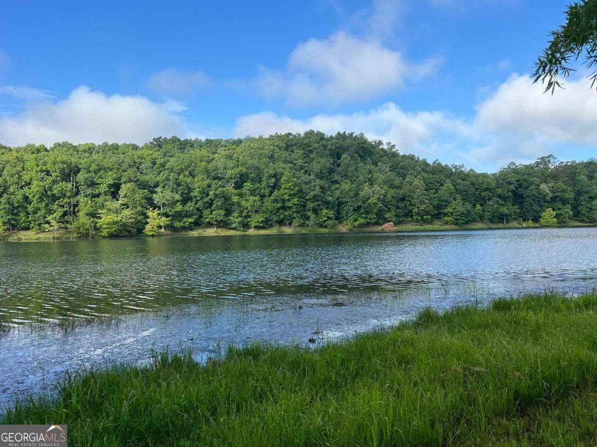 Fairmount, GA 30139,0 Covington Bridge RD
