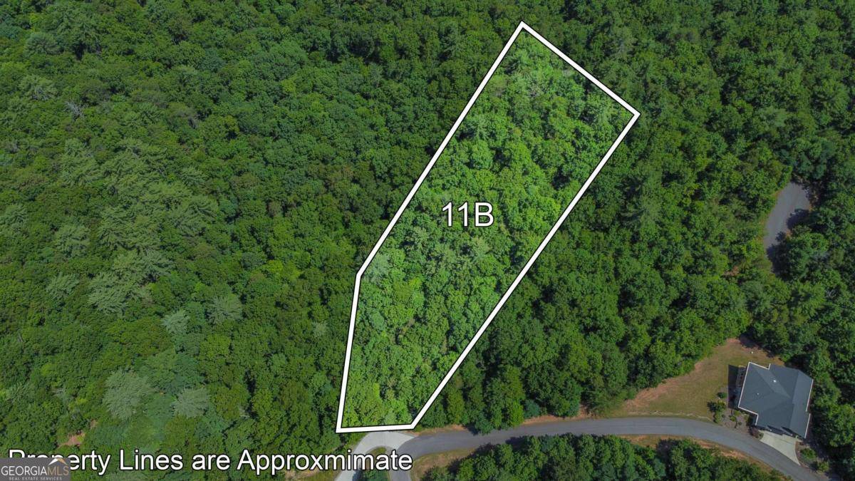 Blairsville, GA 30512,LOT 11B Prospectors RD #11B