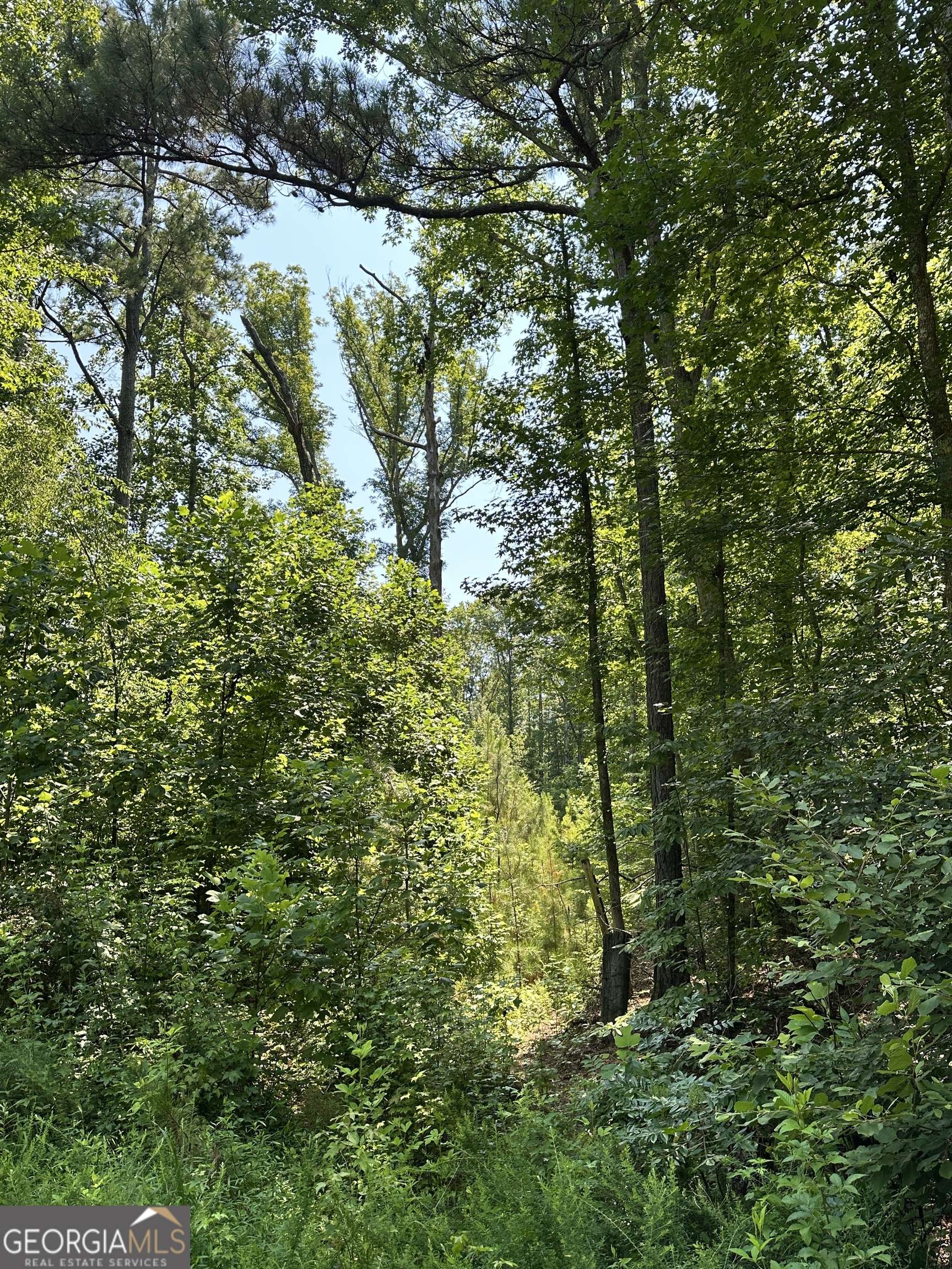 Tallapoosa, GA 30176,0 George Green Rd.