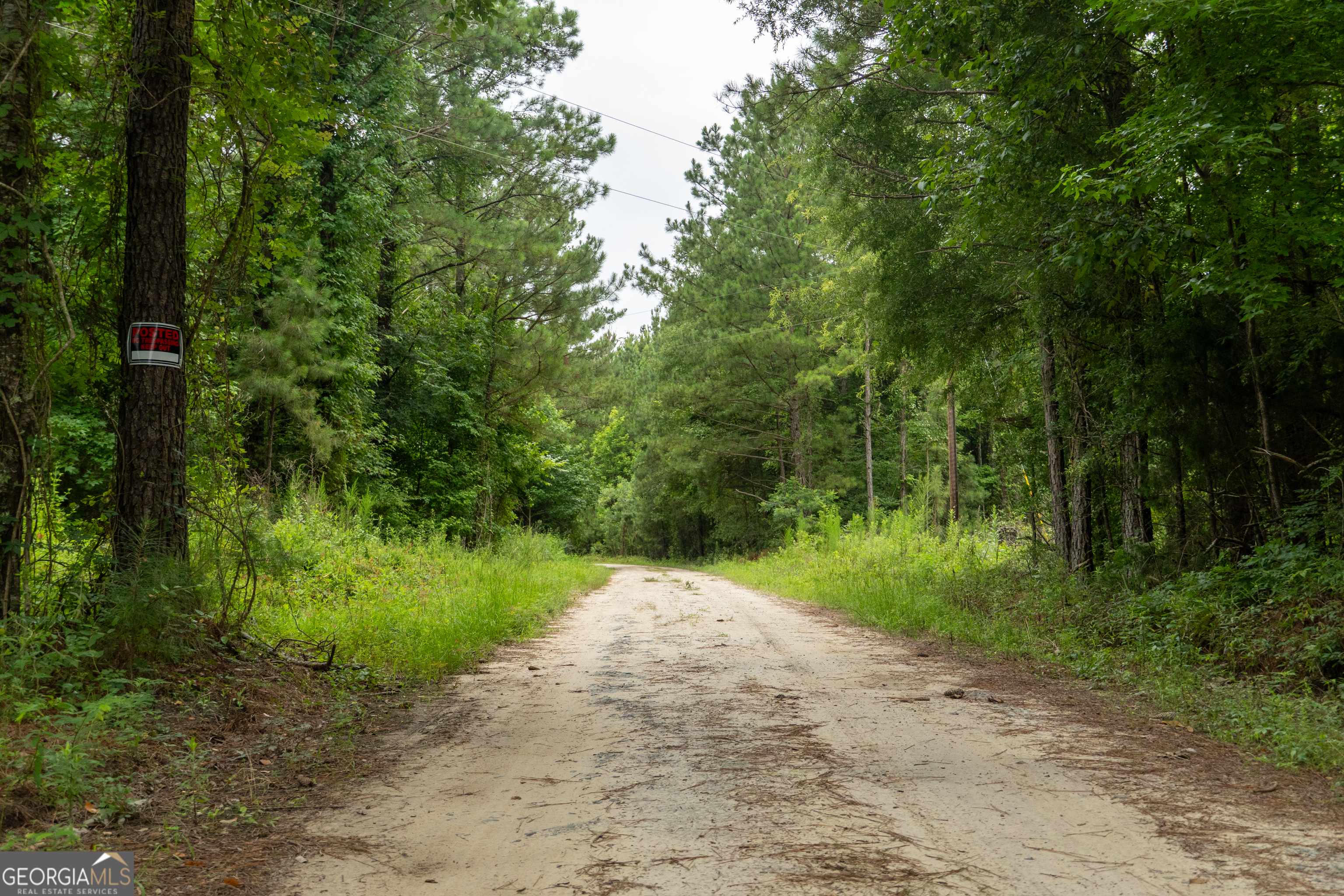 Dry Branch, GA 31020,497 T04 River RD