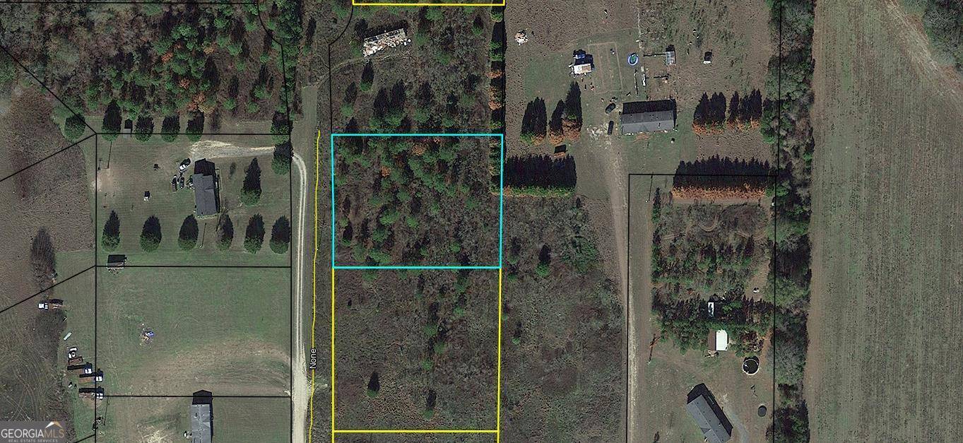 Montezuma, GA 31063,LOT 11 Sydney LN