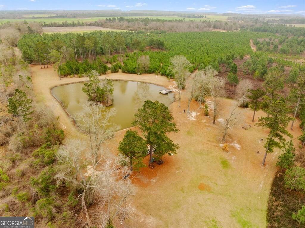 Sylvester, GA 31791,0 Blue Springs RD