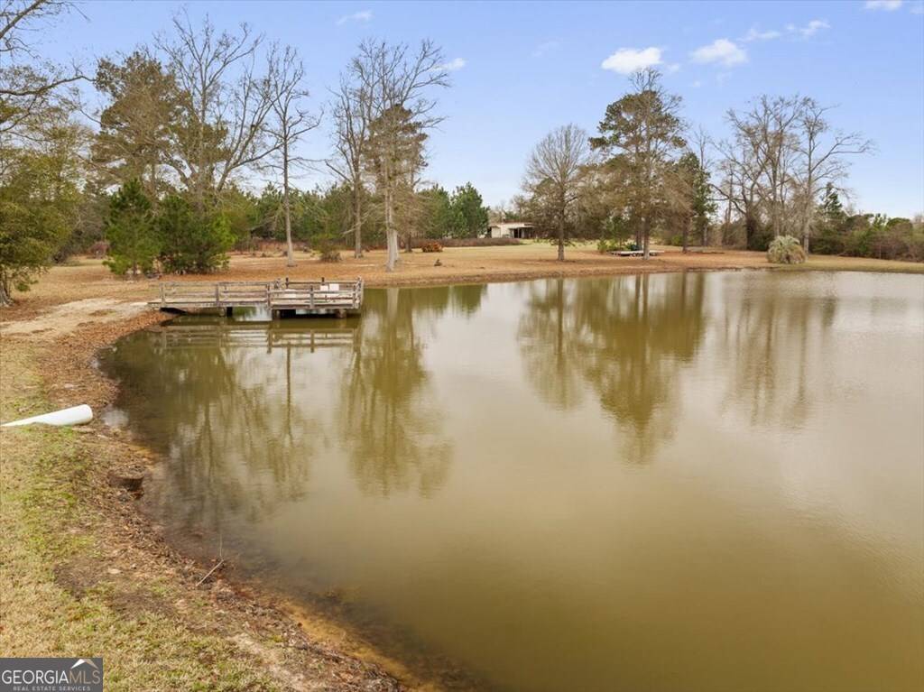 Sylvester, GA 31791,1156 Blue Springs RD